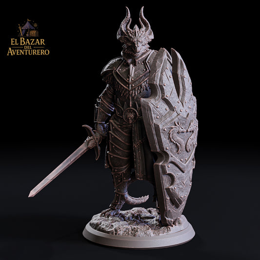 Paladin Dragonborn